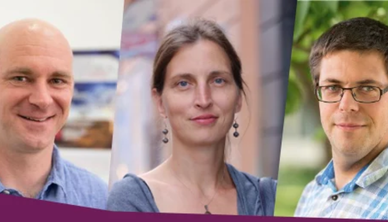 skupinske metode karierne orientacije
