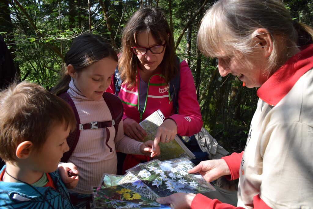 slovensko planinsko orientacijsko tekmovanje