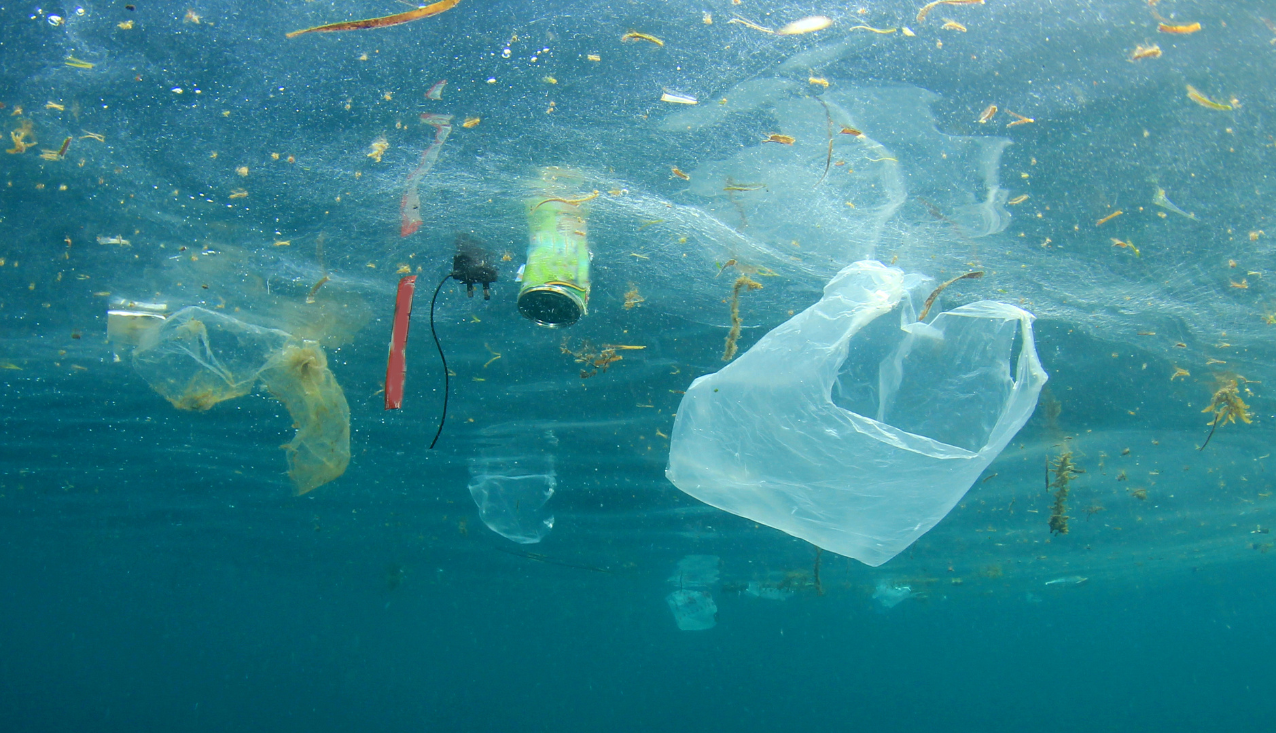 morje onesnaženo s plastiko
