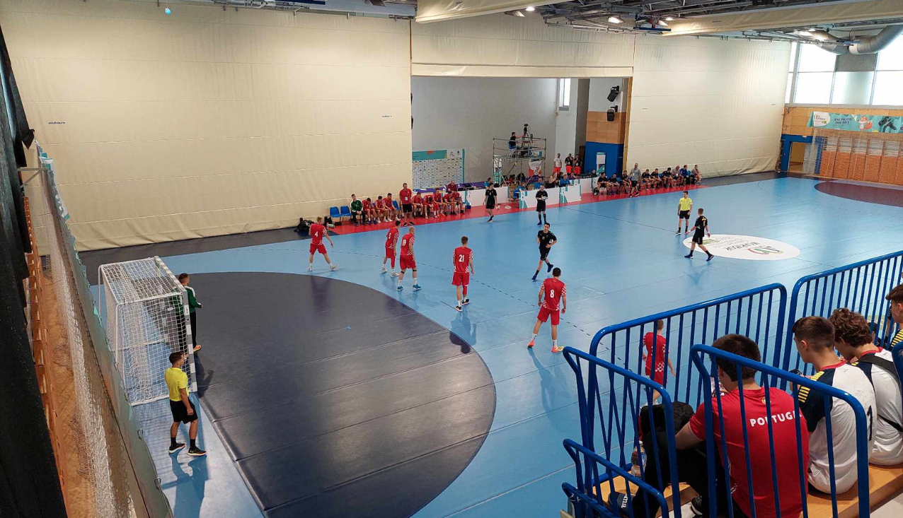 Olimpijski festival evropske mladine