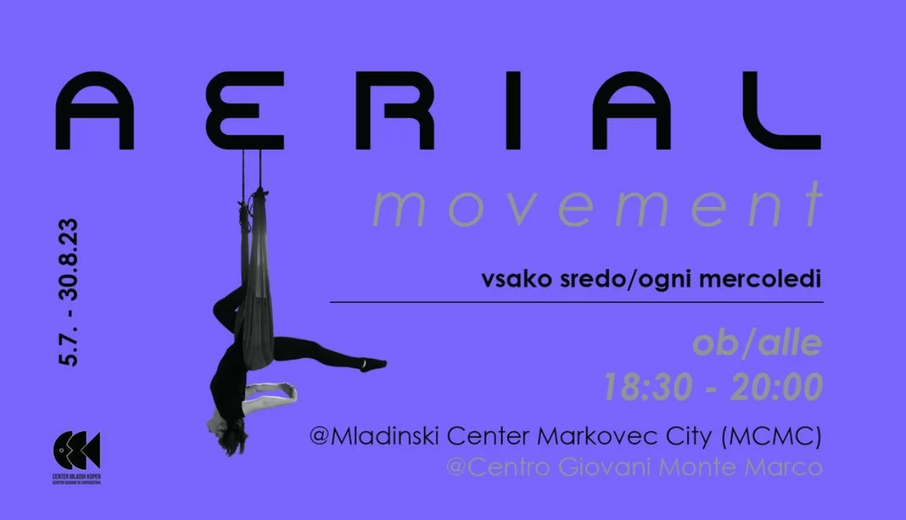 Poletni cikel Aerial movement delavnic