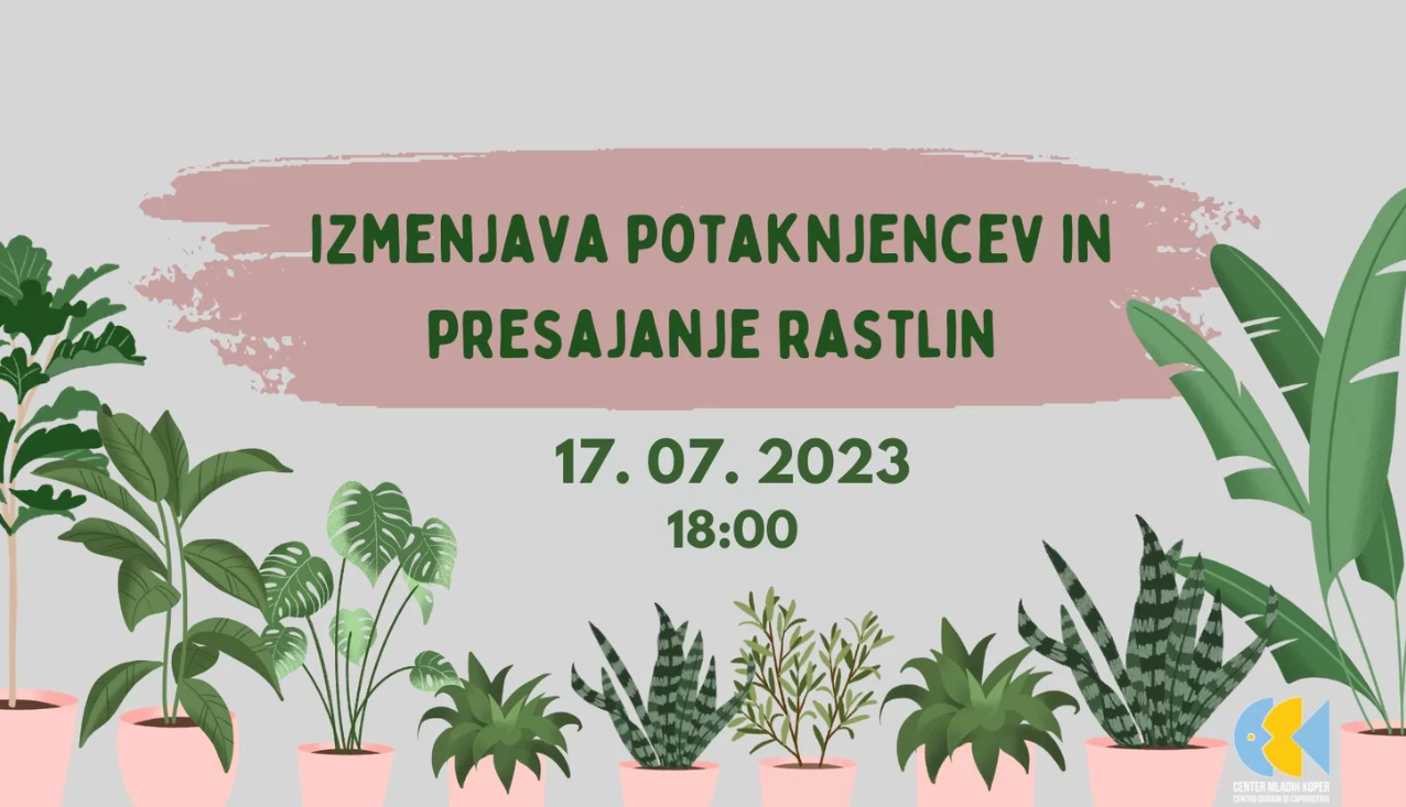 izmenjava potaknjencev in presajanje rastlin