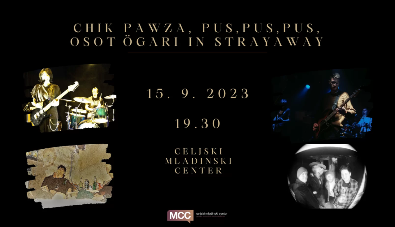 Celjski mladinski center koncert