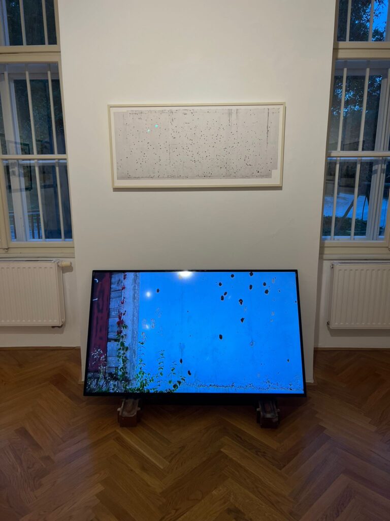 Drop-in vodstvo po grafičnem bienalu