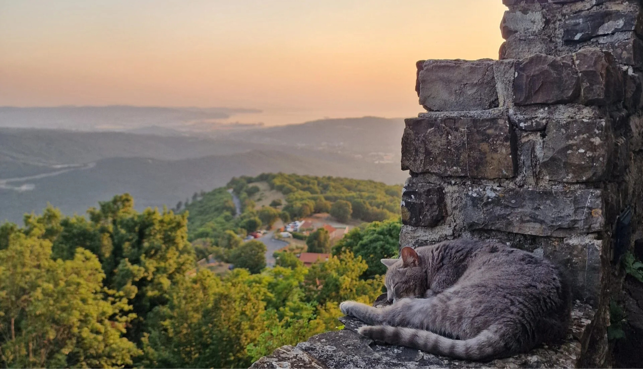 sončni zahod