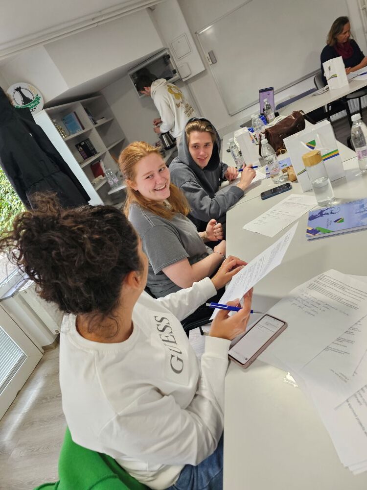 Med oblikovanjem samostojnih akcijskih planov