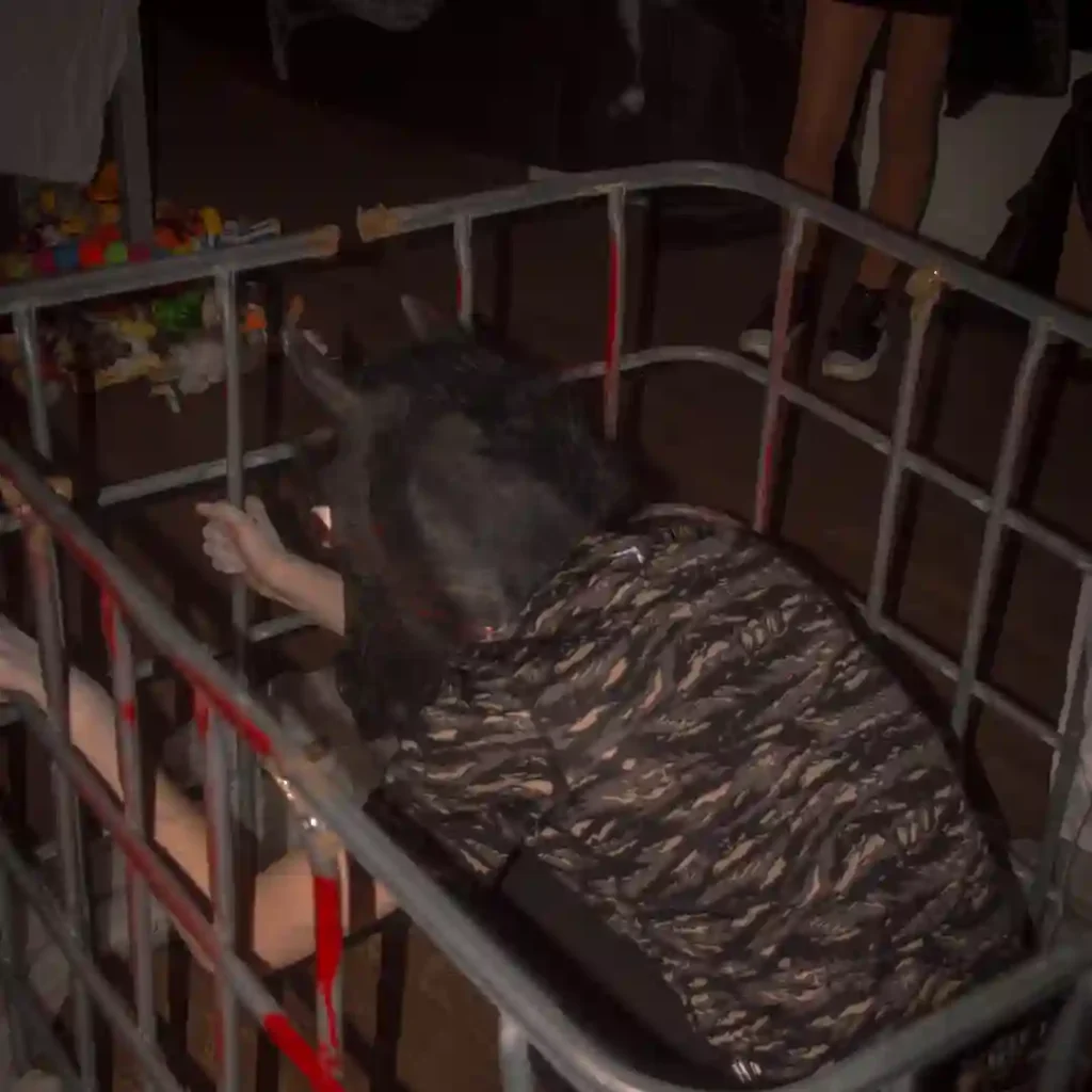 Hiša urokov in senc