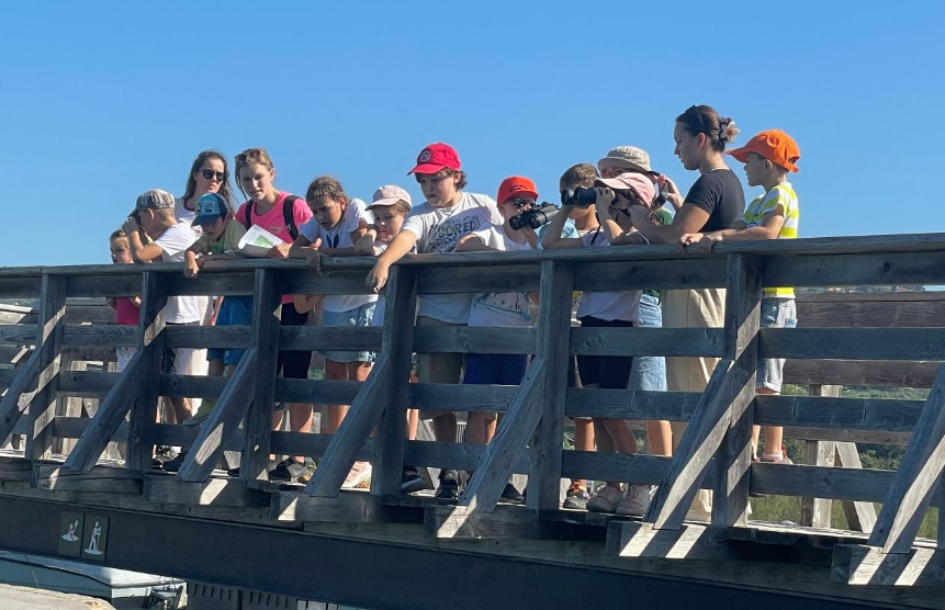 Ogled oddaljenih živali in krajev. Foto: PF