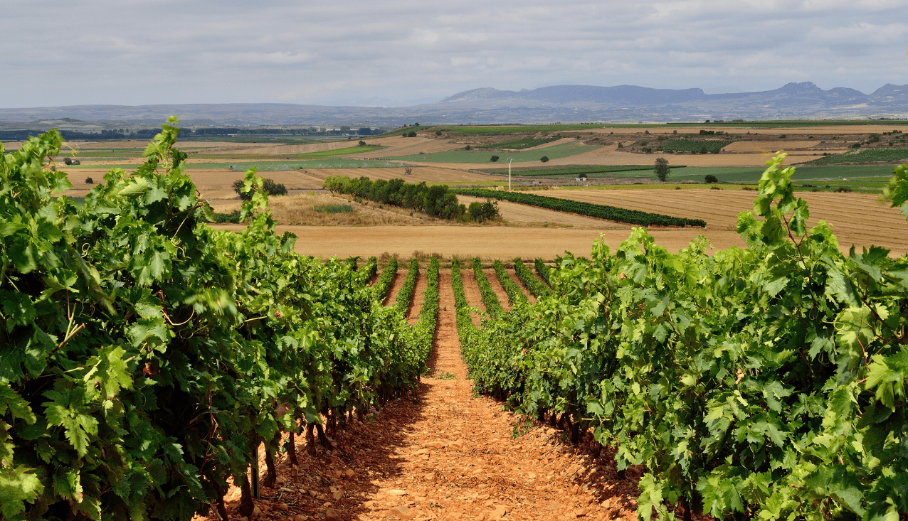 La Rioja - Back to the Village