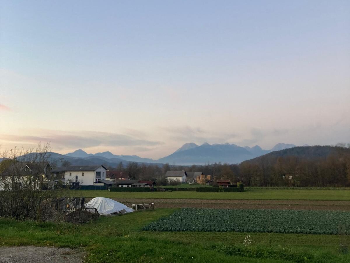 Gore - Colleen Petain