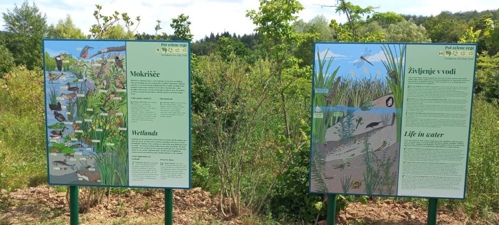 Mokrišče