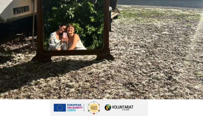 Prostovoljstvo ESE v ekovasi Gaia Terra