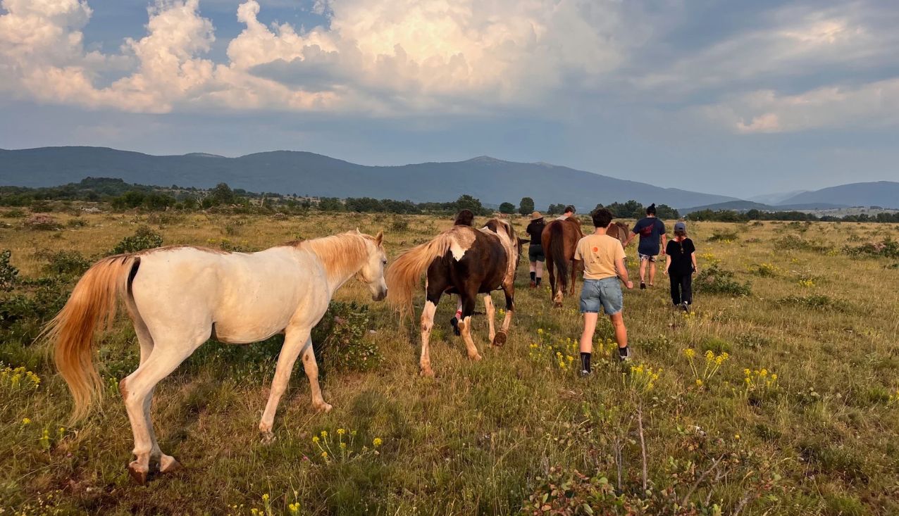 Vmesno (pohodniško) usposabljanje za prostovoljce ESE v Sloveniji