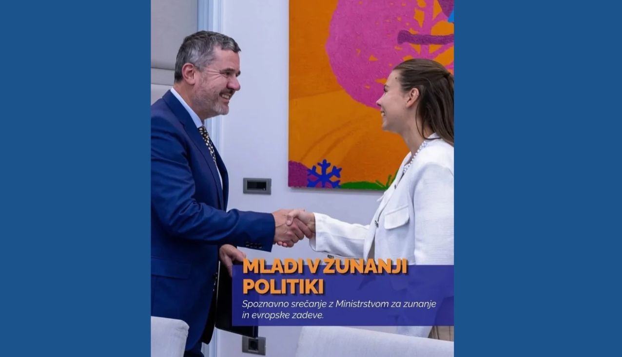 mladi v zunanji politiki mss