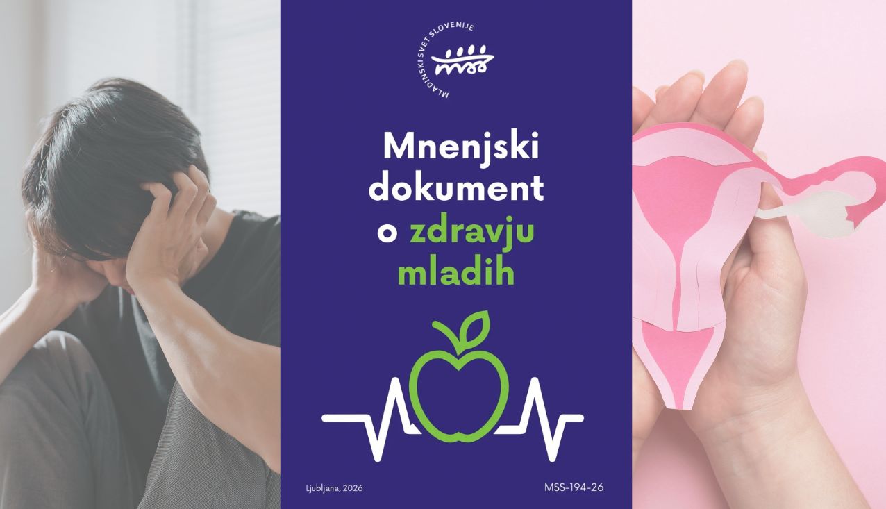 naslovnica dokumenta
